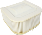 531BA034-4ADD-4EB9-B460-7513FA29489C Emgo - Air Filter - Yamaha