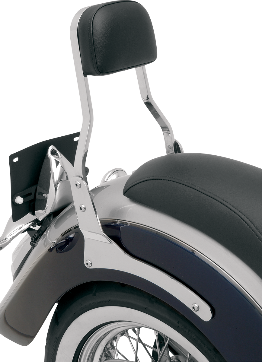 5C2B214E-9961-4FE9-AAFB-0EAF598CB0AD Cobra - Sissy Bar - Short - Stryker