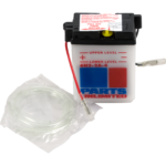 Conventional Battery