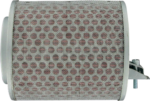 C04EAB86-0333-4401-BA3B-8514B927484A Emgo - Air Filter - Honda
