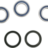 C22148E9-6607-4D5F-9108-93B3A347E711 All Balls - Wheel Bearing Kit - Front/Rear - '07-'10 BMW G450X