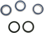 C22148E9-6607-4D5F-9108-93B3A347E711 All Balls - Wheel Bearing Kit - Front/Rear - '07-'10 BMW G450X