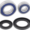 D9823222-1ED7-4E19-8A58-77D0151A1835 All Balls - Wheel Bearing Kit - Rear - '78-'79 KZ/'09-'17 FZ