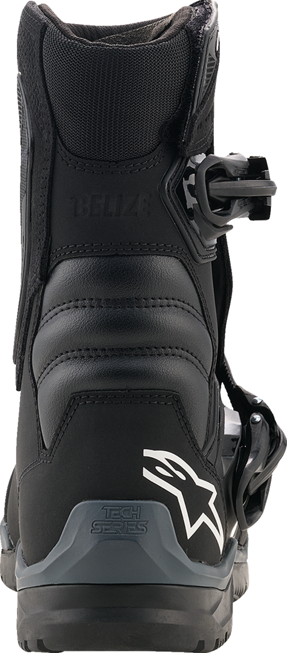 97D219BF-0816-4BC8-AB08-2046D87CE7C1 Alpinestars - Belize V2 Drystar Boots - Black