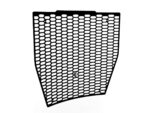 Ducabike - GR09 - Sfv4 H2O Radiator Guard